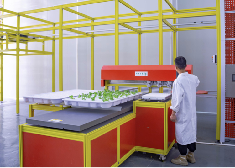 HAVY全自動植物工廠