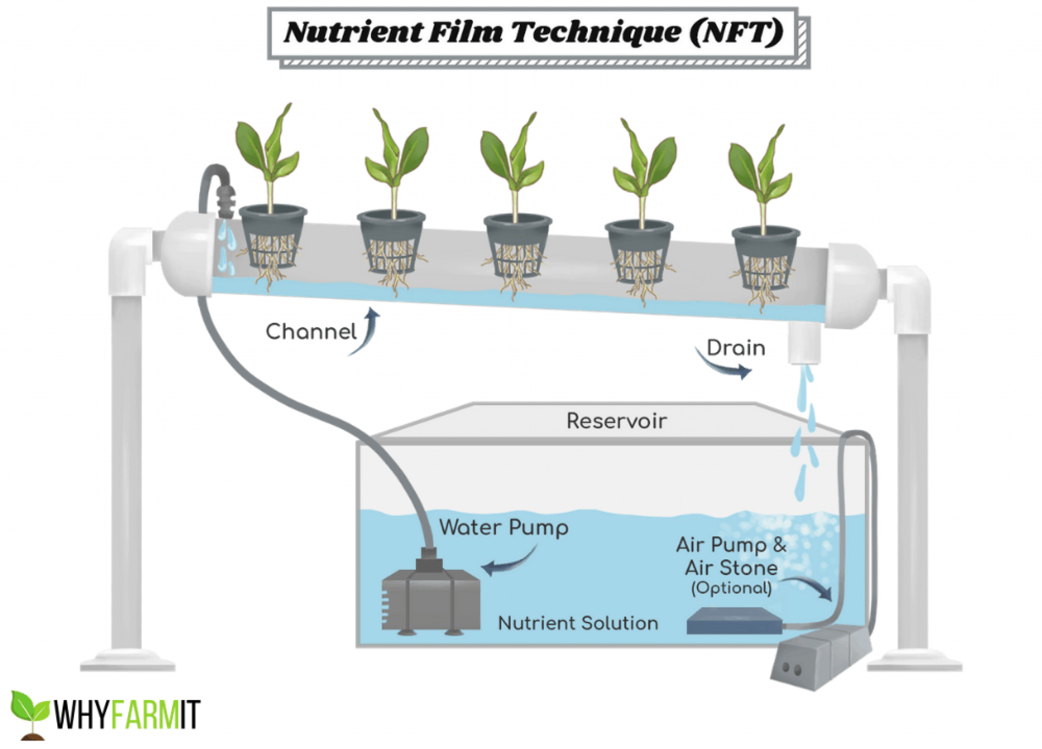 葉菜俠科技，NFT，水培示意圖